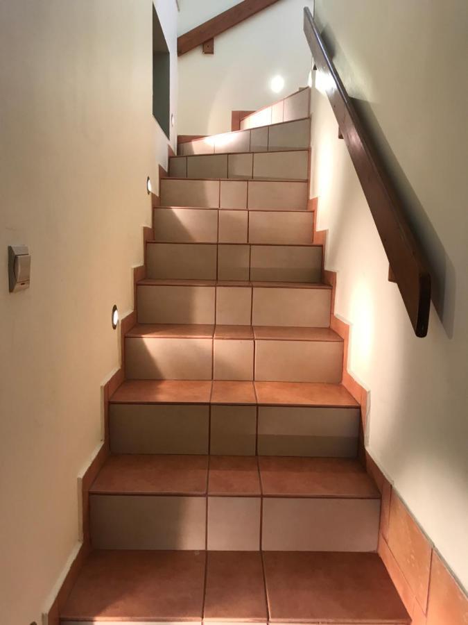 Apartamenty-Studio Noclegi Wczasy Wakacje Ferie - Pobyty Rodzinne ラプカ エクステリア 写真