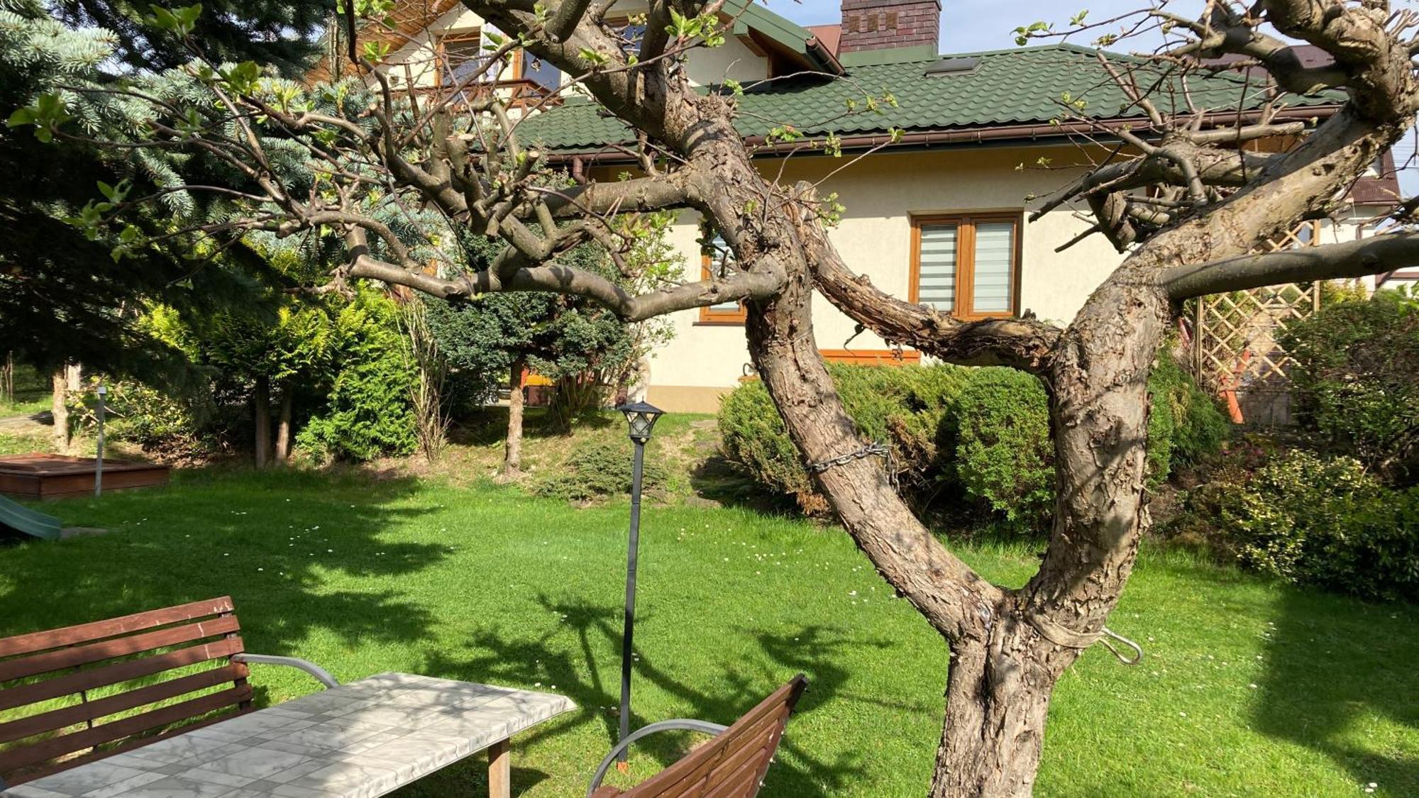 Apartamenty-Studio Noclegi Wczasy Wakacje Ferie - Pobyty Rodzinne ラプカ エクステリア 写真